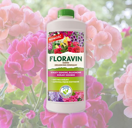 Floravin Kwiaty domowe, balkonowe i rośliny ozdobne