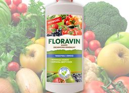 Floravin Warzywa i Owoce