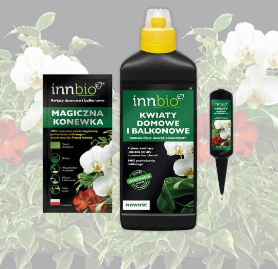 INNBIO kwiaty domowe i balkonowe