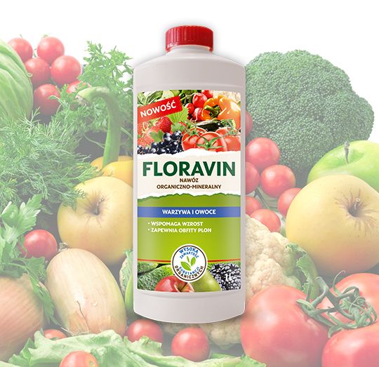 Floravin Warzywa i Owoce