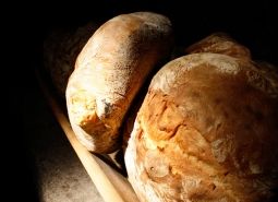 Consummate recipes with the use of Crème de Levain