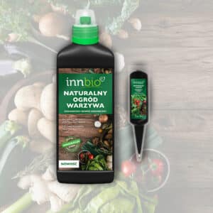 INNBIO naturalny ogród warzywa