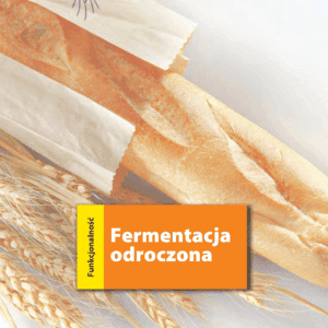 Magimix Pomarańczowy