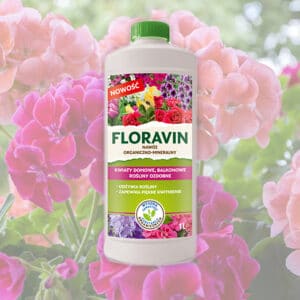 Floravin Kwiaty domowe, balkonowe i rośliny ozdobne